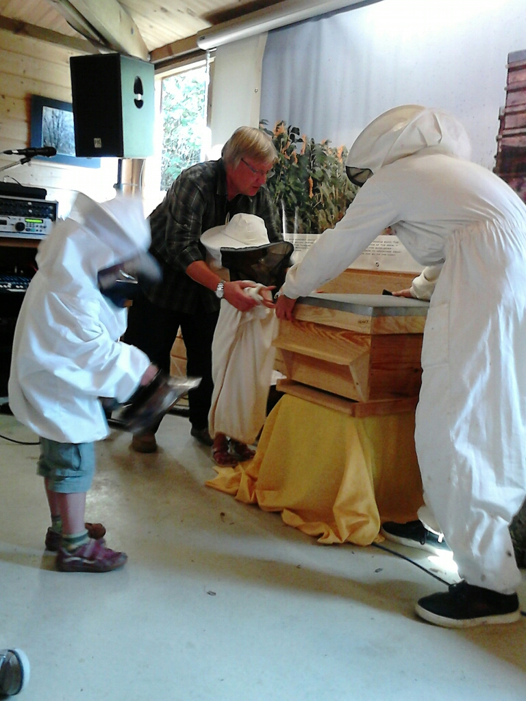 Ouverture de la ruche