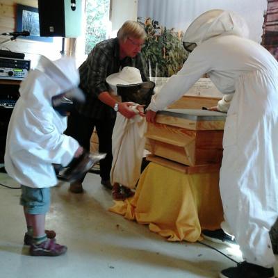 Ouverture de la ruche